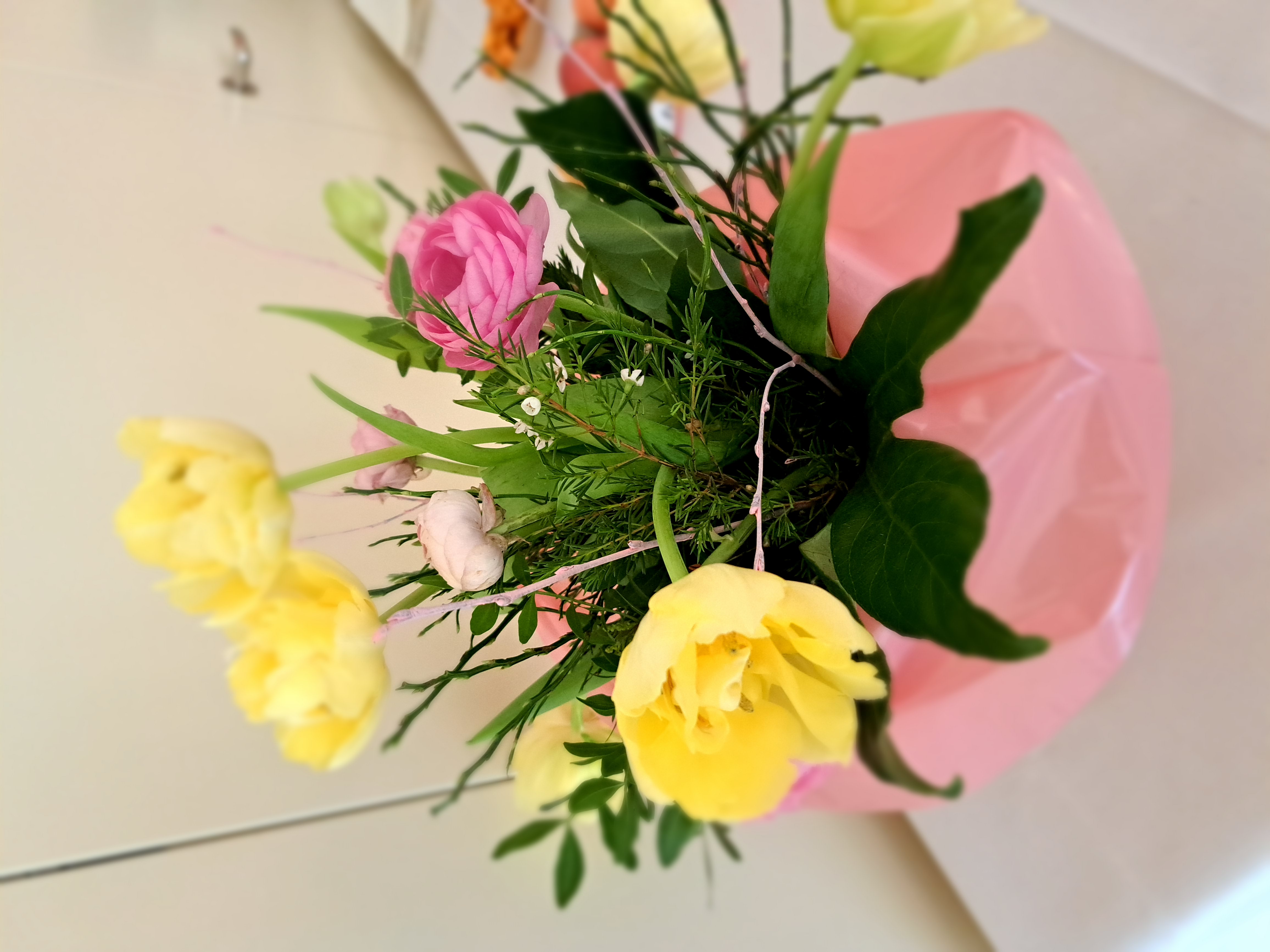 Blumen Ostern im Pax Montana
